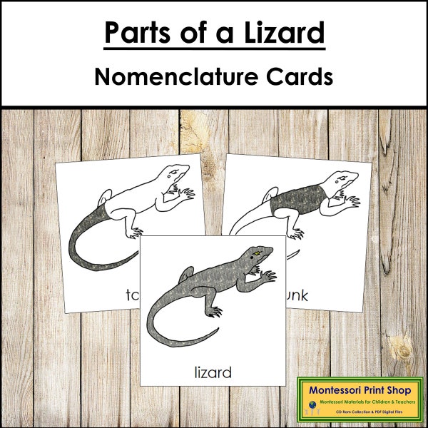 Parts of A Lizard Nomenclature 3-Part Cards - Montessori Zoology - Printable Montessori Materials - Digital Download