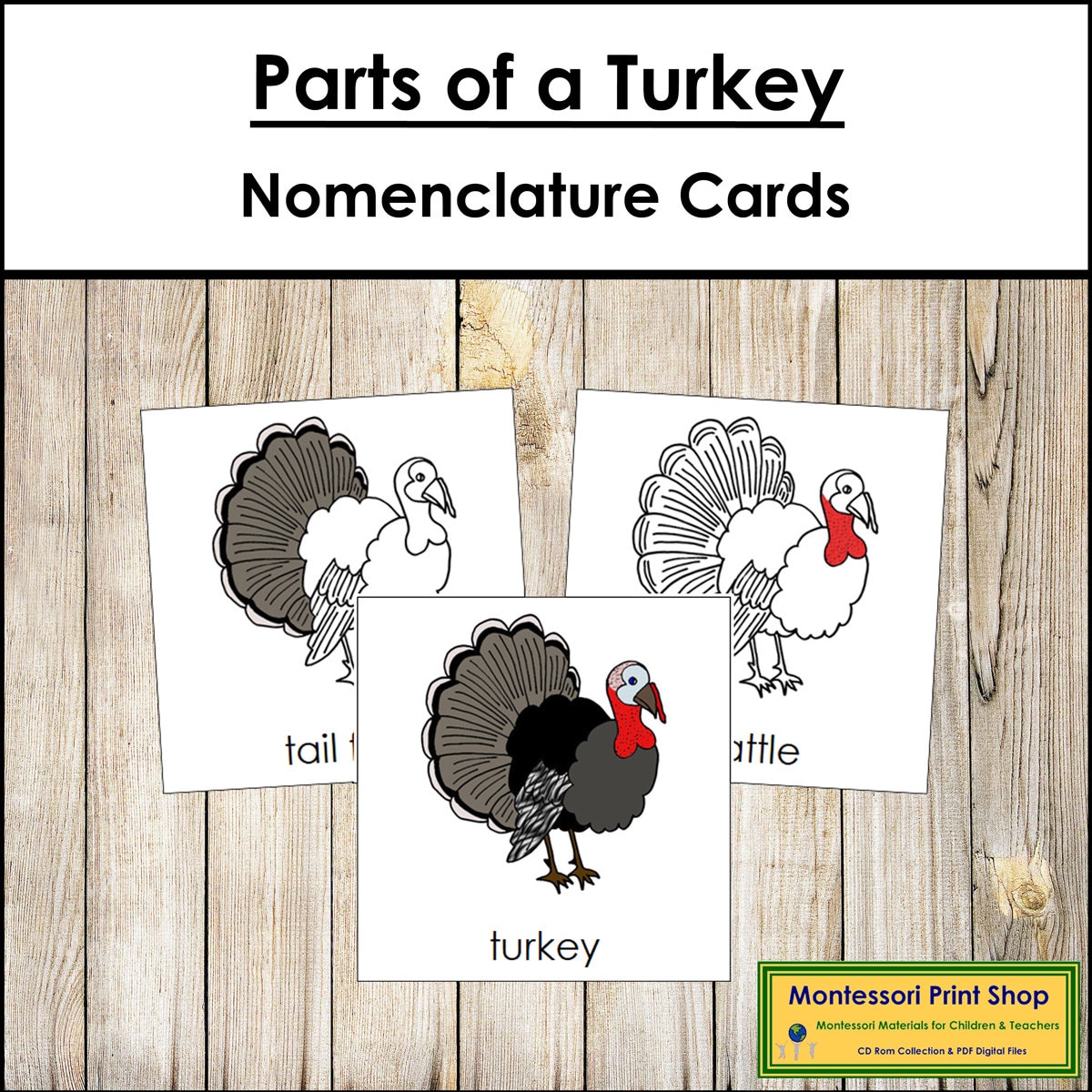 parts of a turkey nomenclature 3-part cards & blackline master