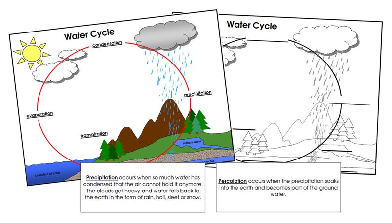 The Water Cycle Definition Cards & Charts [color and Blackline Master ...