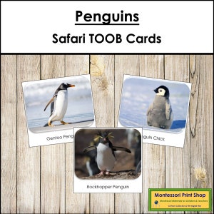 Penguins Safari TOOB Cards - Carte Montessori stampabili - Download digitale
