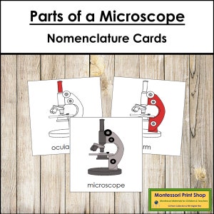 Parts of a Microscope Nomenclature 3-Part Cards - Science - Printable Montessori Materials - Digital Download
