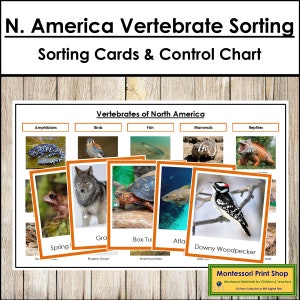 Tarjetas de clasificación de vertebrados de América del Norte y tabla de control (codificadas por colores) - Zoología Montessori - Tarjetas Montessori imprimibles - Descarga digital