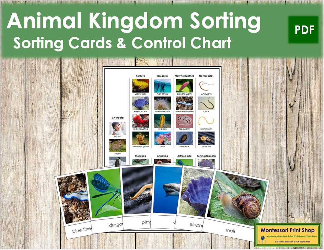 Buy Animal Kingdom Sorting Cards & Control Chart Montessori Online in India - Etsy Buy Animal Kingdom Sorting Cards & Control Chart Montessori Online in India - Etsy