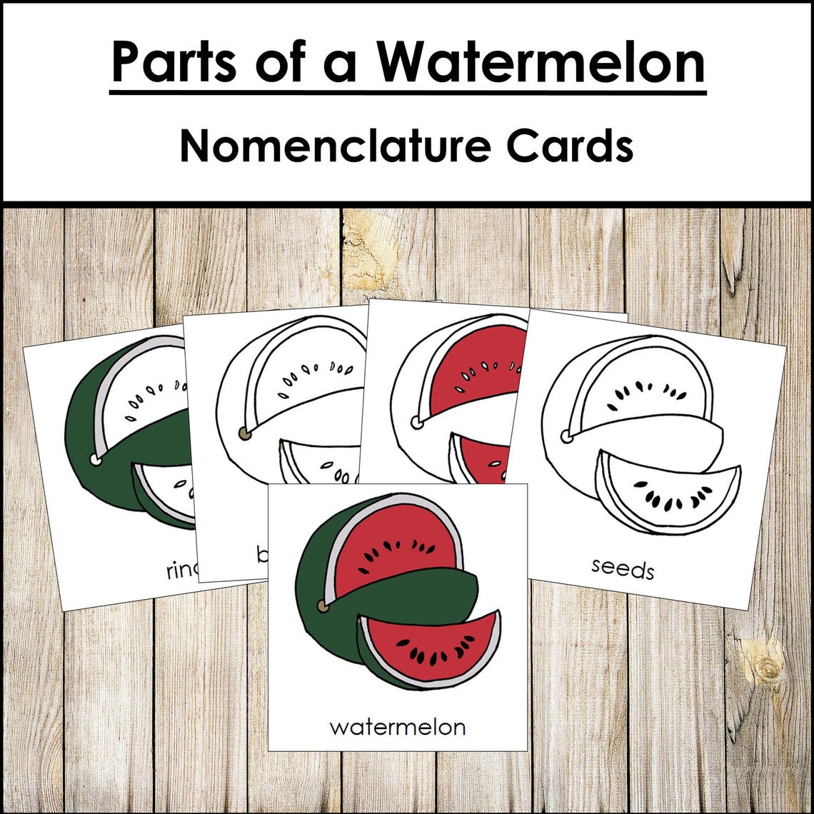 Watermelon Components Parts of a Watermelon Nomenclature 3-part Cards & Blackline Master ...
