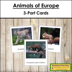 Animali d'Europa - Carte Montessori sui continenti - Geografia - Carte Montessori stampabili - Download digitale