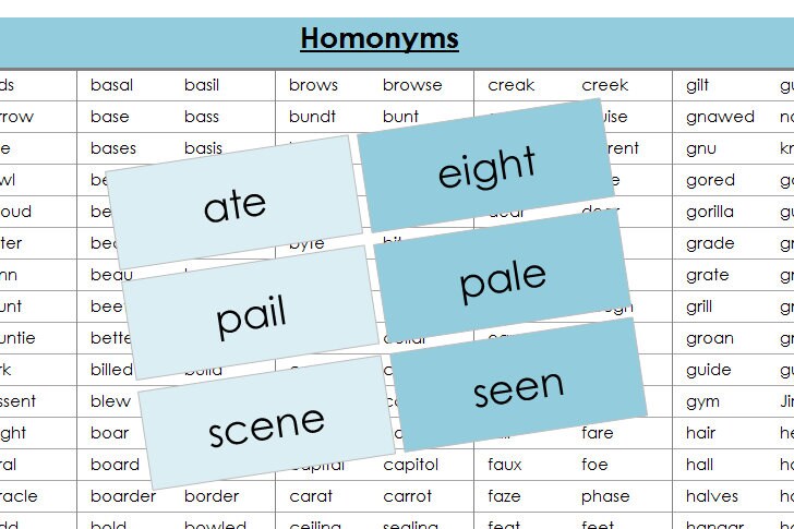 Homonyms Matching Cards & Chart [color-coded] - Montessori Grammar ...