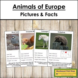 Animali d'Europa - Fatti e schede illustrate (codificate a colori) - Zoologia Montessori - Schede Montessori stampabili - Download digitale