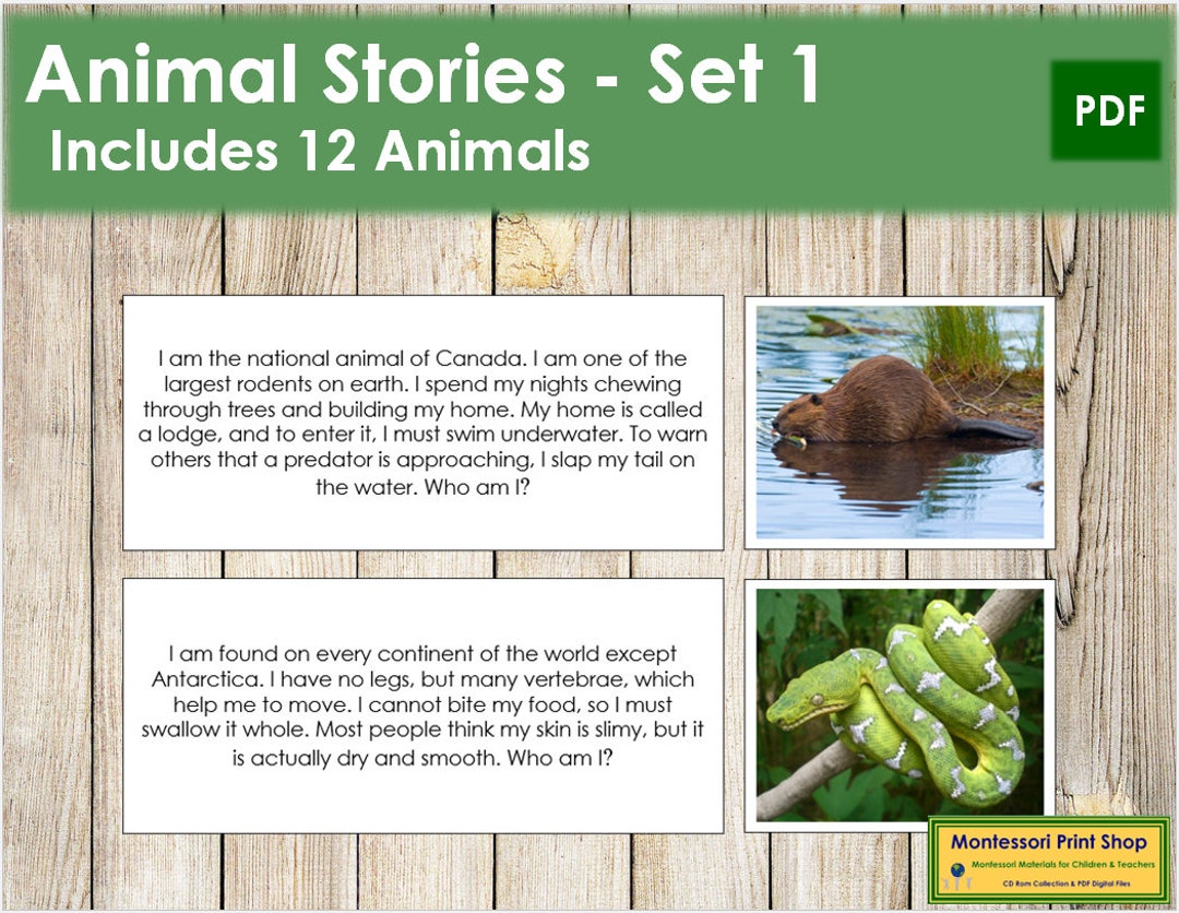 Buy Animal Stories Set 1 Zoology Printable Montessori Cards Online in India - Etsy Buy Animal Stories Set 1 Zoology Printable Montessori Cards Online in India - Etsy