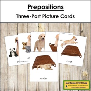 Präpositionskarten [Hunde-Thema] - Montessori Grammatik & Sprache (Digitaler Download)
