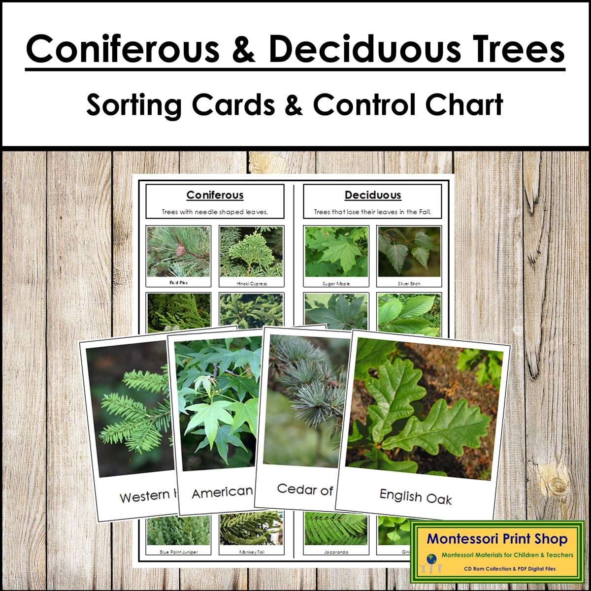 Types of Trees Sorting Cards & Chart [coniferous and Deciduous ...