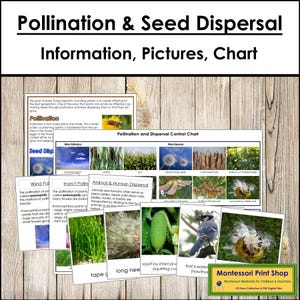 Pollination & Seed Dispersal Montessori Cards: Science Photos (Digital Download)