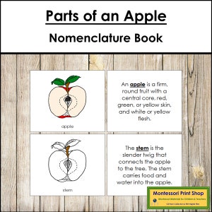 Parts of an Apple Nomenclature Book - Botany - Printable Montessori Materials - Digital Download