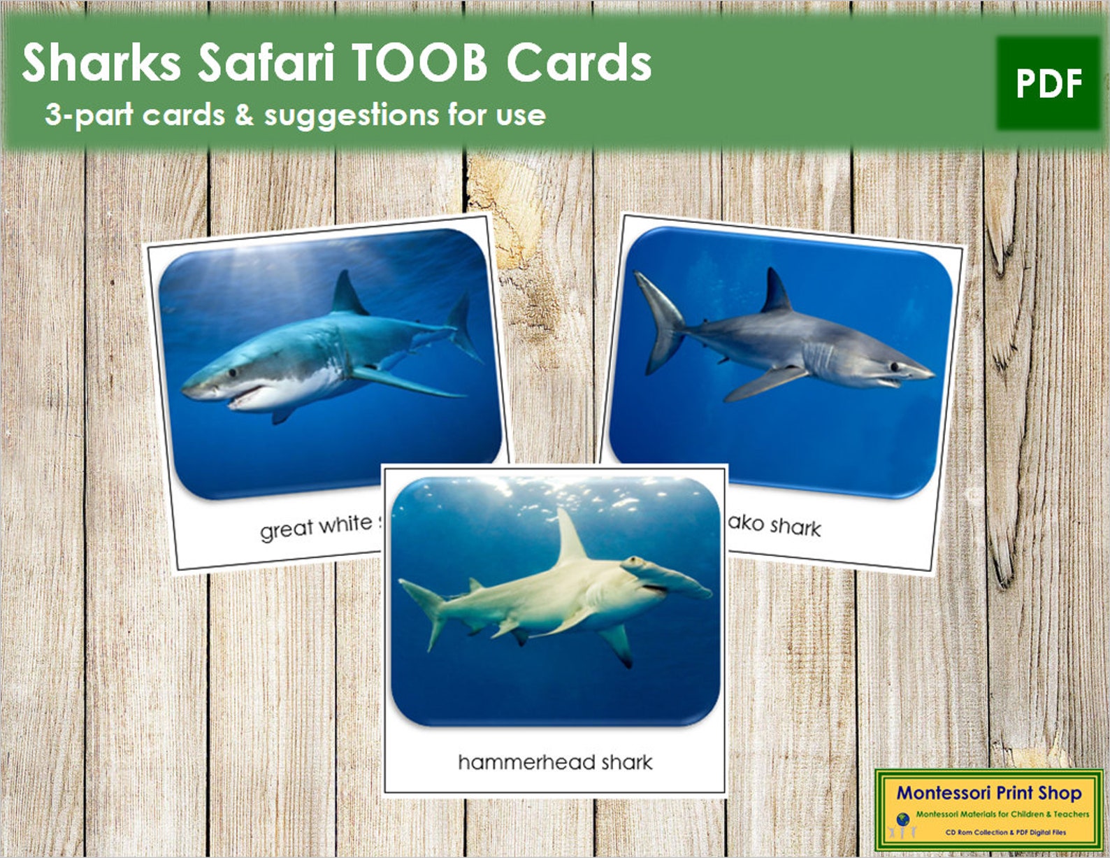 Sharks Safari TOOB Cards Printable Montessori Cards - Etsy UK