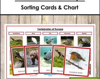 Tarjetas y tabla de clasificación Montessori de Vertebrados de Europa [codificadas por colores] - Zoología Animal (Descarga digital)
