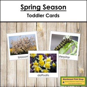 Cartes de saison printanière - matériaux Montessori imprimables pour tout-petits - téléchargement numérique