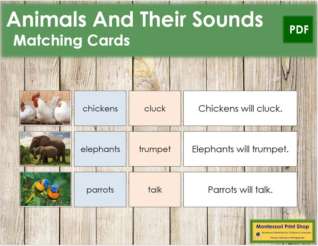 Animals and Their Sounds color Zoology Printable - Etsy Finland