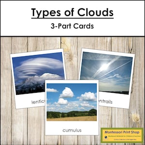 雲の種類 命名法 3 部構成カード - 科学 - 印刷可能なモンテッソーリ教材 - デジタル ダウンロード