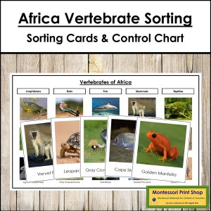Tarjetas de clasificación de vertebrados africanos y tabla de control - Zoología Montessori - Tarjetas Montessori imprimibles - Descarga digital