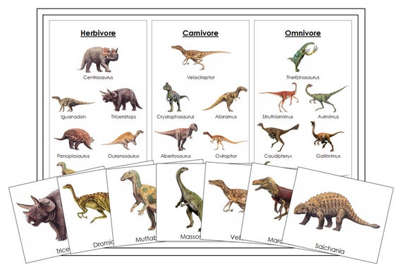 Carnivorous Dinosaurs  List, Species Names & Types - Video