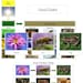 Food Chain Cards &amp; Charts - Printable Montessori Science Cards ...