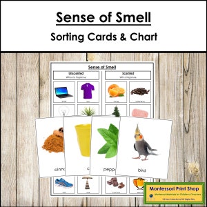Tarjetas de clasificación y tabla de control del olfato - Ciencias - Tarjetas Montessori imprimibles - Descarga digital