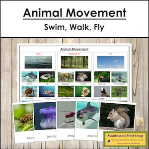 Movimento Animal (Nadar, Caminhar e Voar) - Zoologia - Cartões Montessori para Impressão - Download Digital