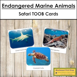 Endangered Marine Species Safari TOOB Cards - Printable Montessori Cards - Digital Download