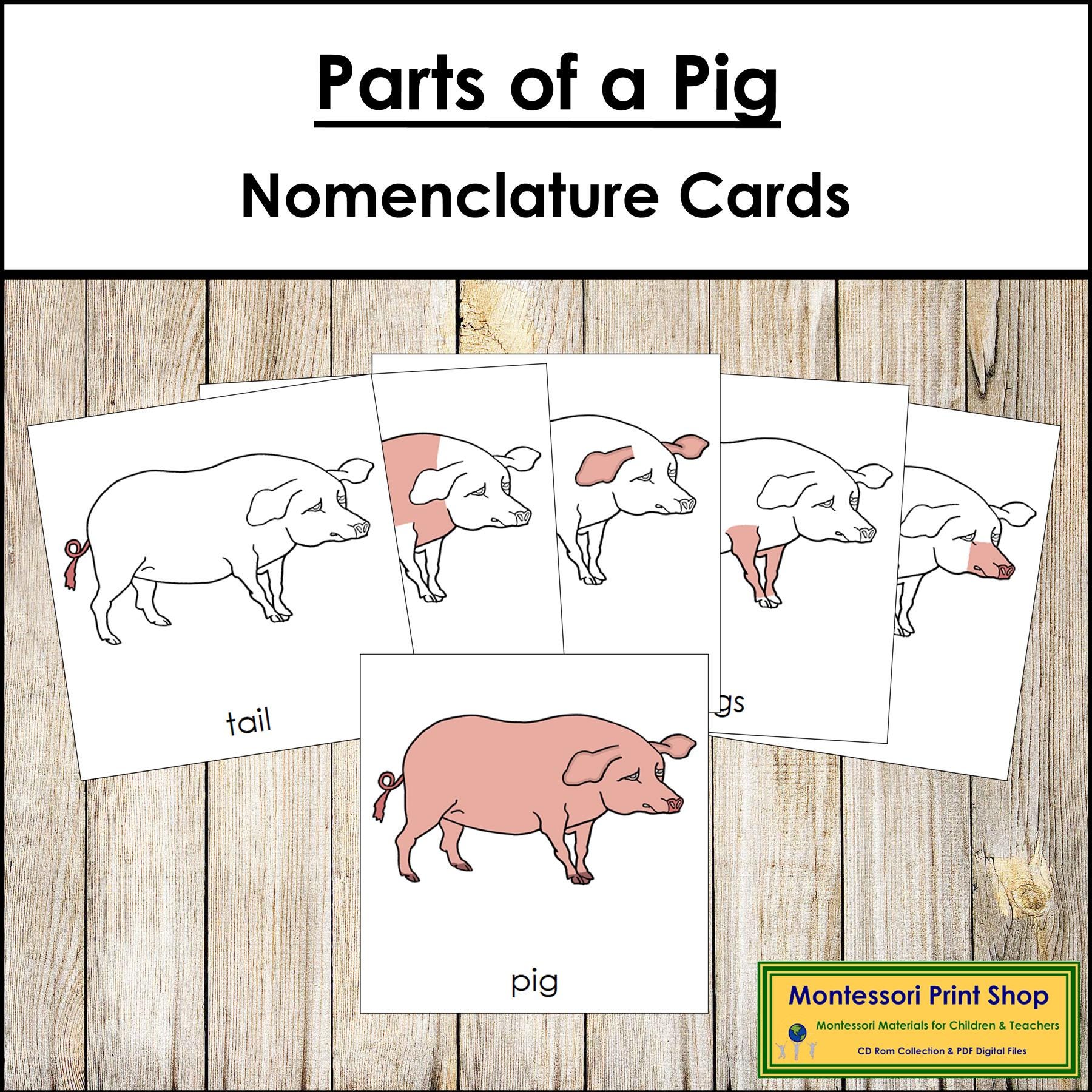 Parts of a Pig Nomenclature 3-part Cards & Blackline Master