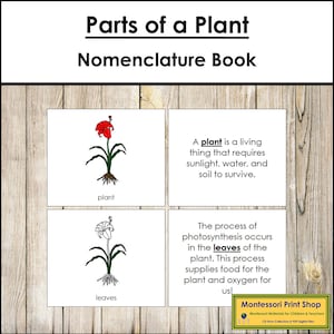 Parts of a Plant Nomenclature Book - Montessori Botany - Printable Montessori Materials - Digital Download