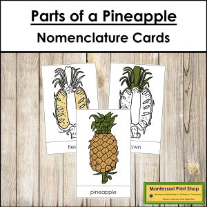 Parts of a Pineapple Nomenclature 3-Part Cards - Montessori Botany - Printable Montessori Materials - Digital Download