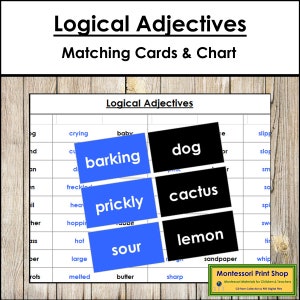 Adjectifs logiques assortis cartes (code couleur) - grammaire Montessori - matériel Montessori imprimable - téléchargement numérique
