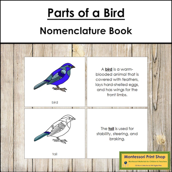 Parts of a Bird Nomenclature Book - Montessori Zoology - Printable Montessori Materials - Digital Download