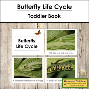 Libro sul ciclo di vita delle farfalle - Materiali Montessori stampabili per bambini - Download digitale
