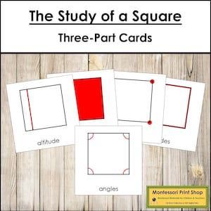 The Study of a Square Nomenclature 3-Part Cards - Montessori Geometry (Digital Download)