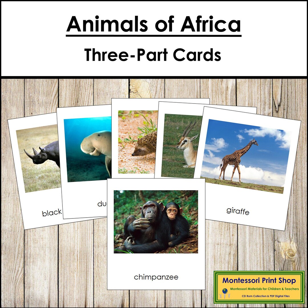Montessori Animals of Africa 3-part Cards - Geography Continent Cards ...