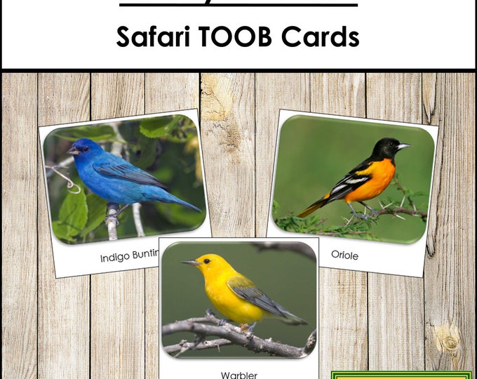 In the Woods Safari TOOB Cards - Printable Montessori Cards - Digital ...