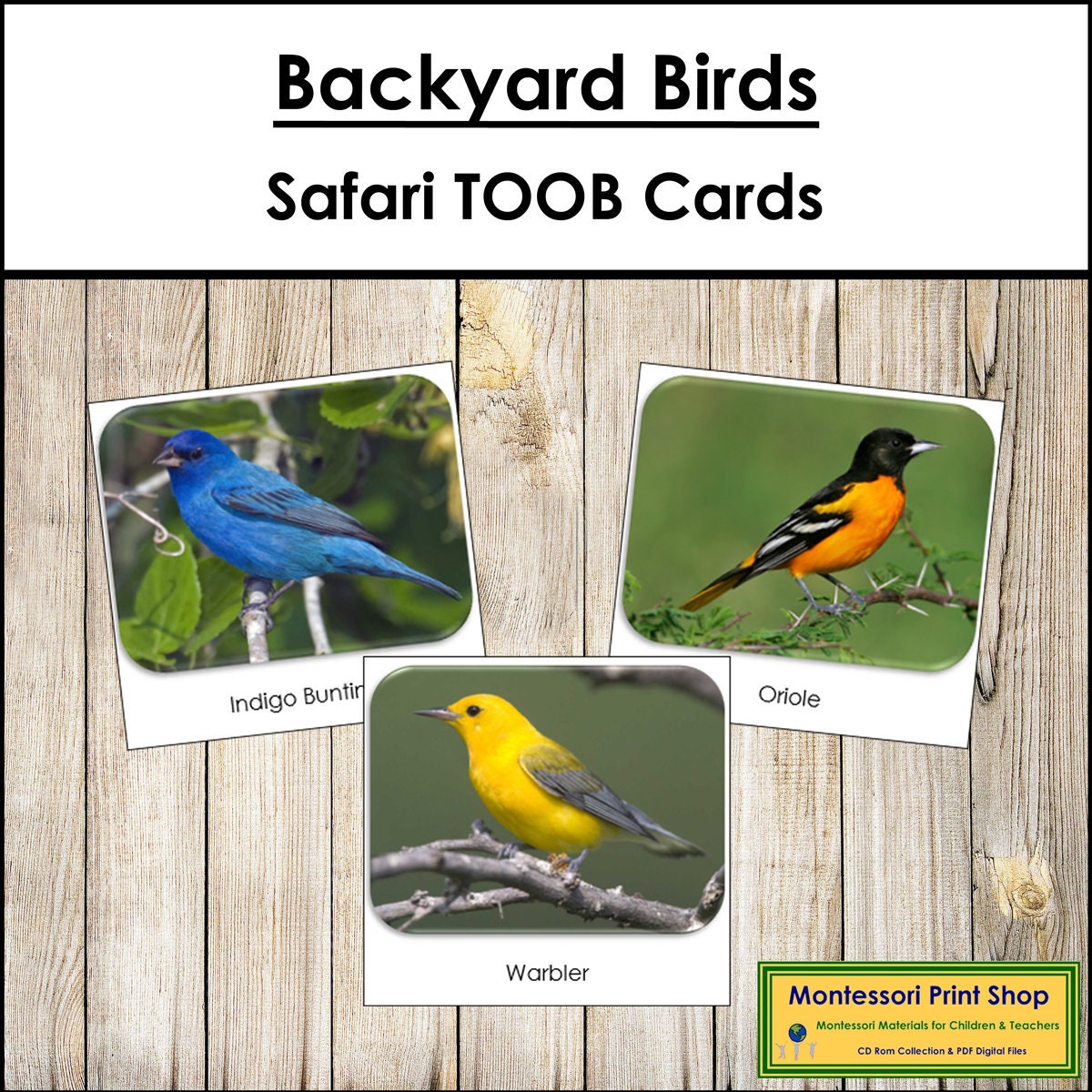 Backyard Birds Safari TOOB Cards Printable Montessori Cards Etsy