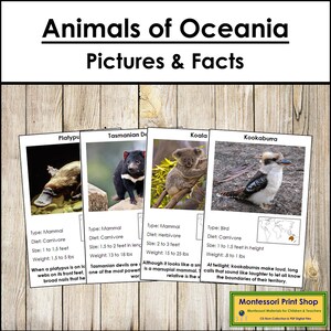 Informations sur les animaux d'Australie/Océanie et cartes (code couleur) - zoologie Montessori - cartes Montessori imprimables - téléchargement numérique