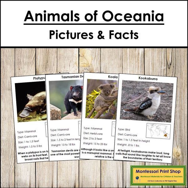 Animals of Australia/Oceania Facts & Picture Cards (color-coded) - Montessori Zoology - Printable Montessori Cards - Digital Download