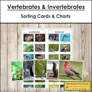 Tarjetas de clasificación y tabla de control de vertebrados e invertebrados - Zoología - Tarjetas Montessori imprimibles - Descarga digital