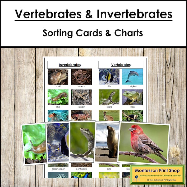 Vertebrates and Invertebrates Sorting Cards & Control Chart - Zoology - Printable Montessori Cards - Digital Download