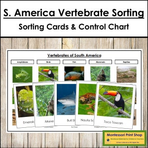Tarjetas de clasificación de vertebrados de Sudamérica y tabla de control - Zoología Montessori - Tarjetas Montessori imprimibles - Descarga digital