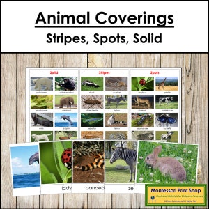 Couvertures d'animaux (rayures, taches et solides) - zoologie - cartes Montessori imprimables - téléchargement numérique