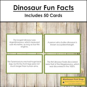 Fatos divertidos sobre dinossauros (coloridos) - Ciência e zoologia Montessori - Cartões Montessori para impressão - Download digital