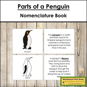Parties d'un livre de nomenclature de pingouins - zoologie Montessori - matériaux Montessori imprimables - téléchargement numérique