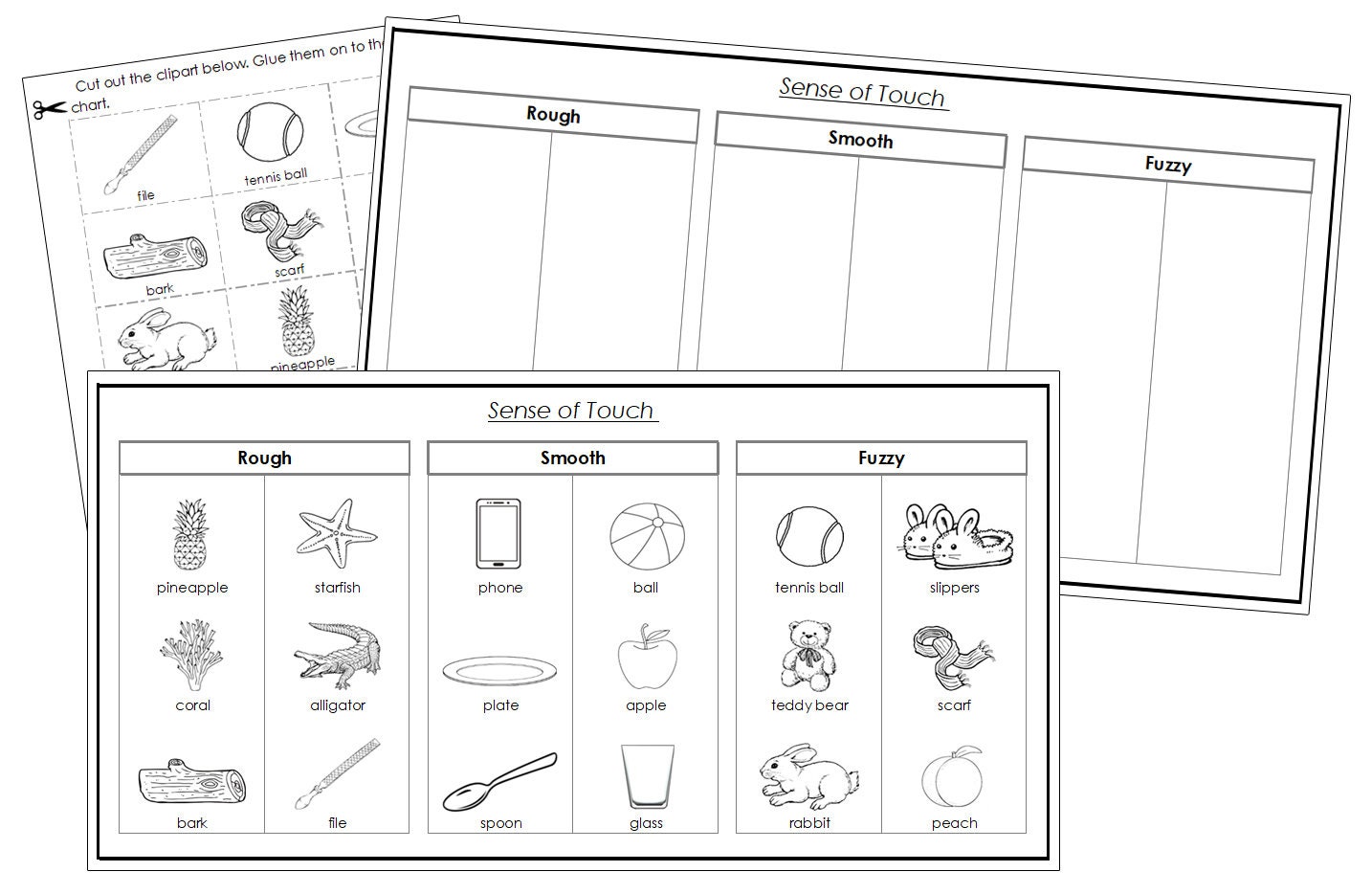 Montessori Sense of Touch Sorting: Rough, Smooth, Fuzzy (digital ...