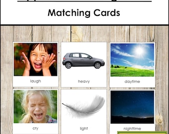 Opposite Matching Cards - Montessori Language & Grammar - Printable Montessori Materials - Digital Download