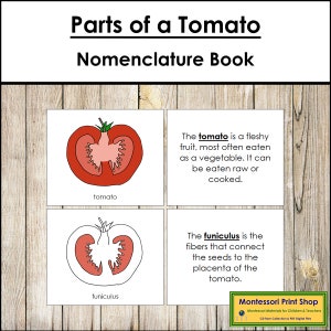 Parts of a Tomato Nomenclature Book - Montessori Botany - Printable Montessori Materials - Digital Download