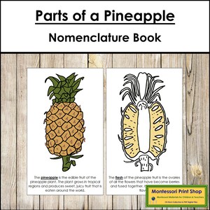 Libro sulla nomenclatura delle parti di un ananas - Botanica Montessori - Materiali Montessori stampabili - Download digitale