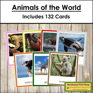 Ensemble animaux du monde (code couleur) - géographie/zoologie - cartes Montessori imprimables - téléchargement numérique